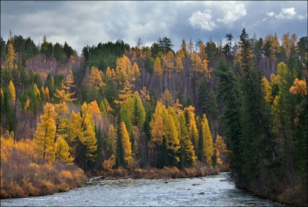 Восточносибирская Тайга реки