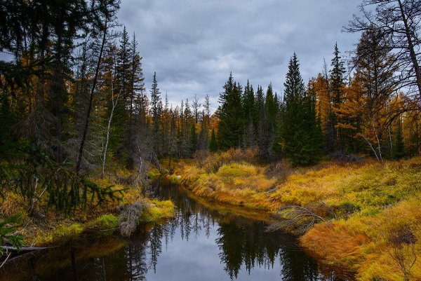 Река Кенкеме в Якутии