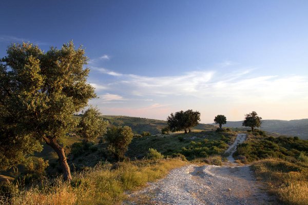 Кипр ландшафт