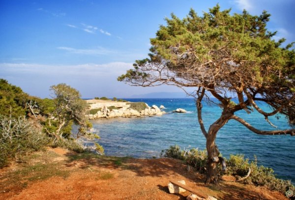 Тропа Афродиты и полуостров Акамас