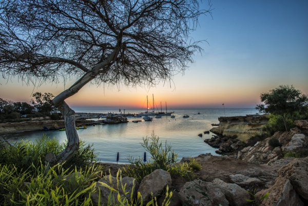 Пальчики город на берегу моря