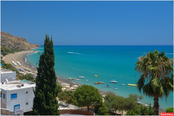 Кипр олива вид на море