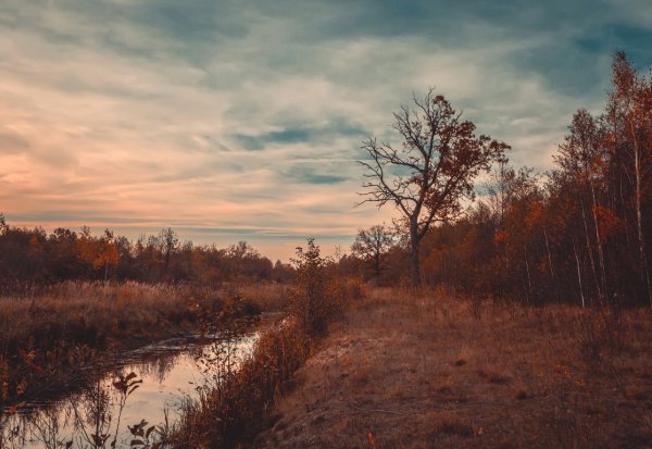 Унылая осень