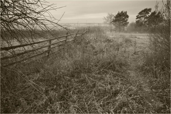 Унылые поля