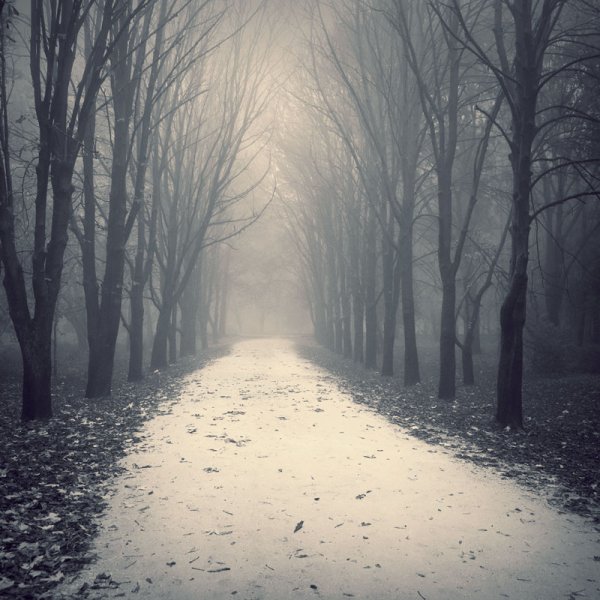 Пейзаж грусть