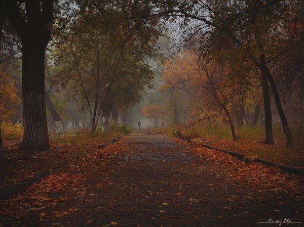 Печальный пейзаж