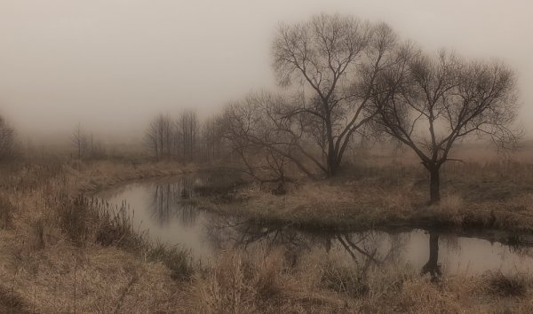 Осень дождь серость