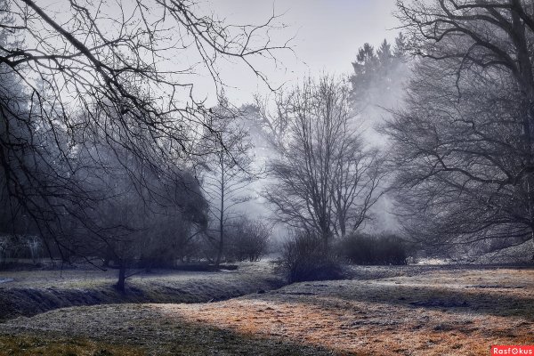 Деревенский пейзаж