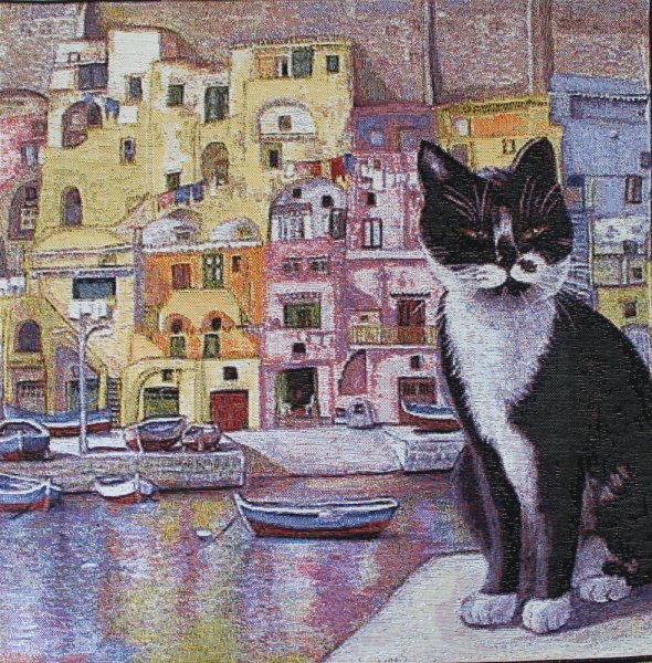 Коты в Венеции