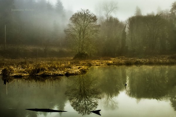 Болото туман