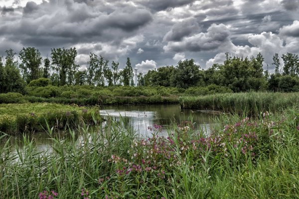 Мавринское болото