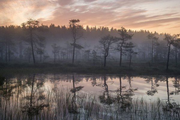 Озеро туман ХМАО