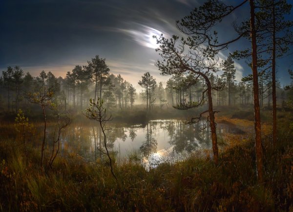 Федор Лашков Ленинградская область