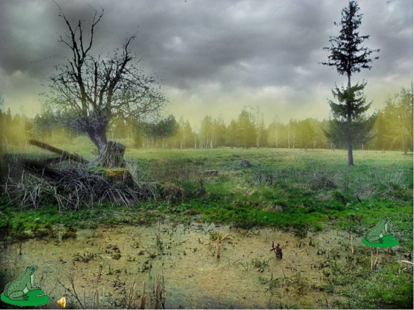 Мрачные русские пейзажи