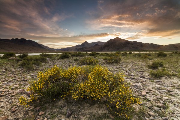 Монголия природа