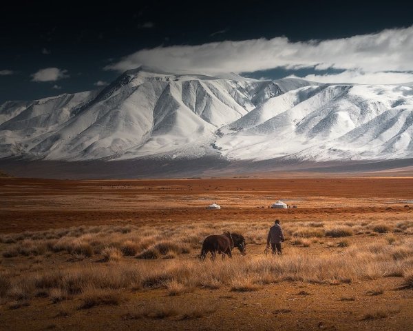 Хайласт Монголия