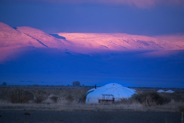Степь Монголии ночь