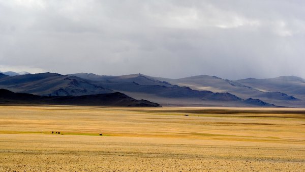 Степи Монголии