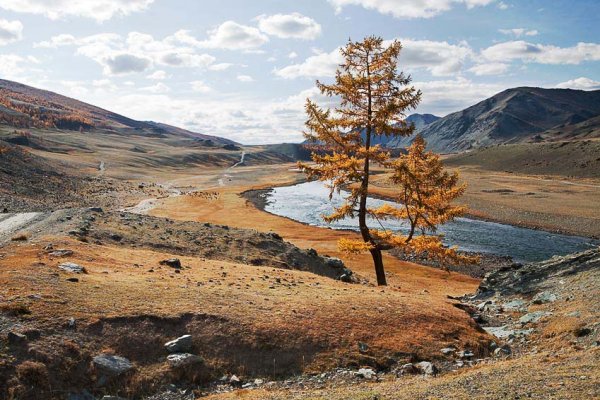 Монголия осенью природа