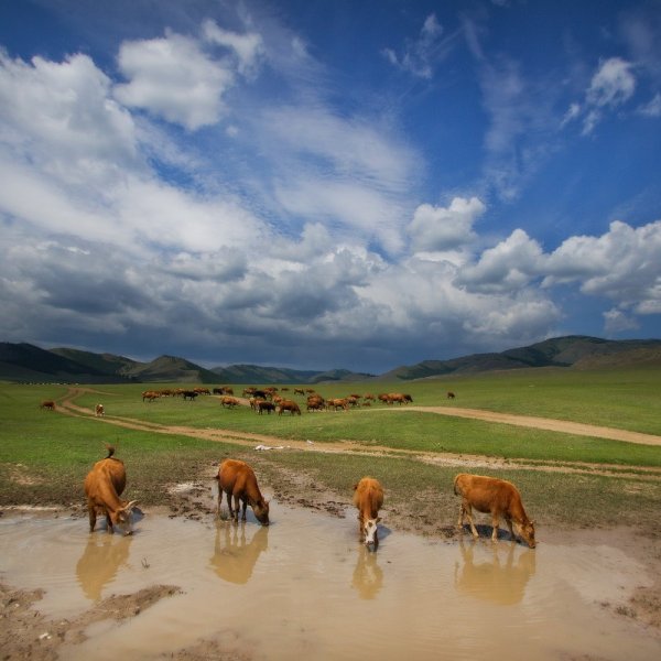 Монголия пейзажи