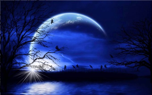 Ночные иллюстрации