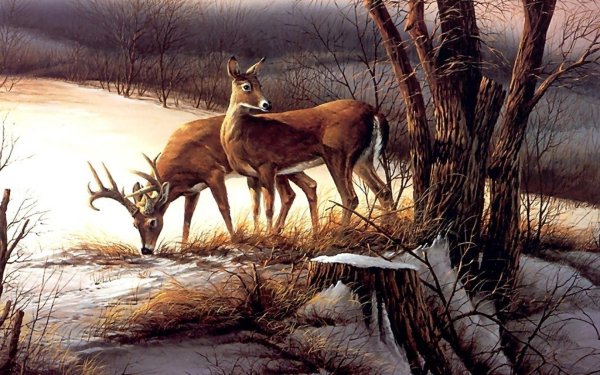 Терри Редлин картины природа зима