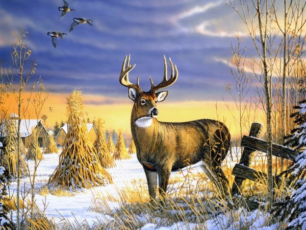 Зимний пейзаж животные