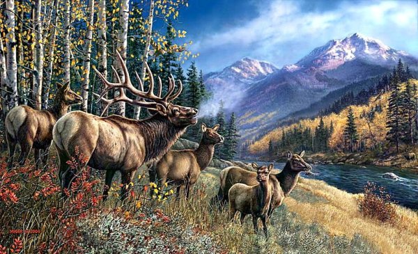 Художник Джеймс Смит олени