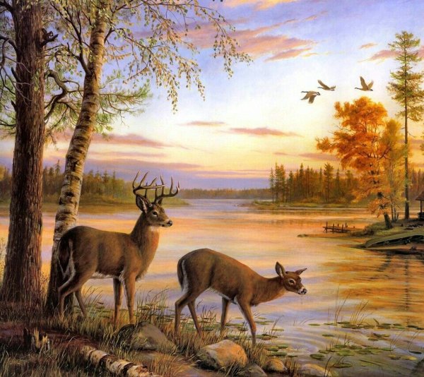 Алмазная мозаика олени