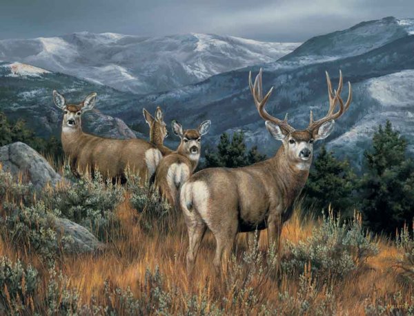 Олени картины художников