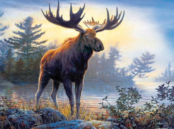 Самая красивая картина с оленем