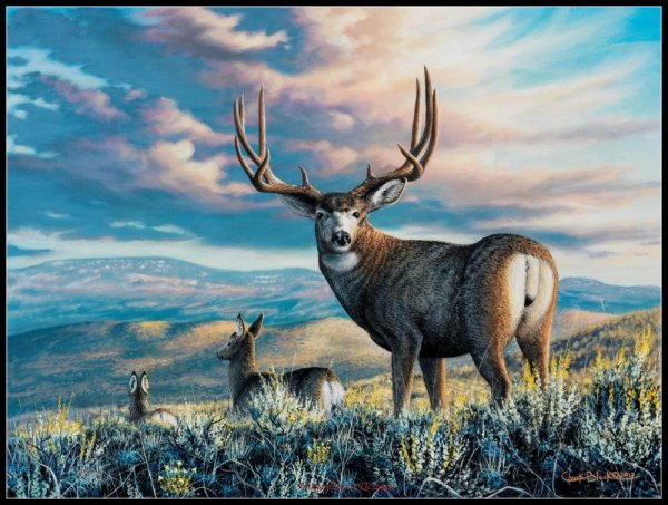 Авраам Хантер художник