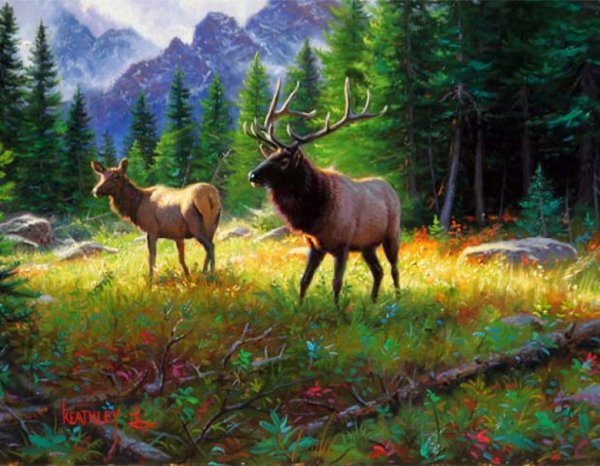 Картина олени в горах