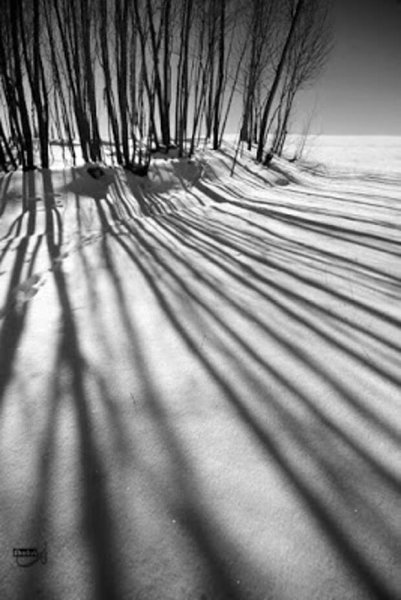 Свет и тень в пейзаже