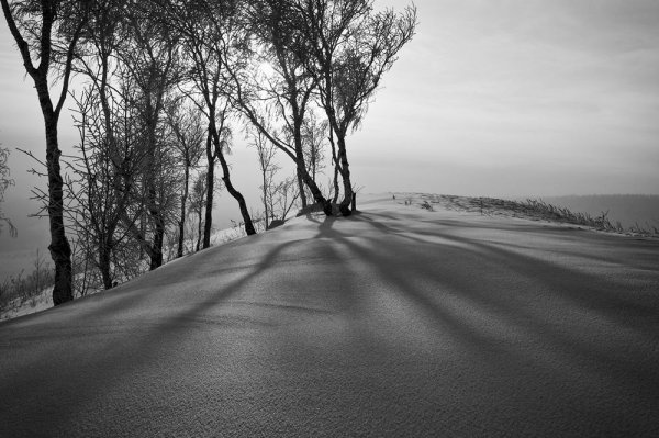 Свет и тень в пейзаже