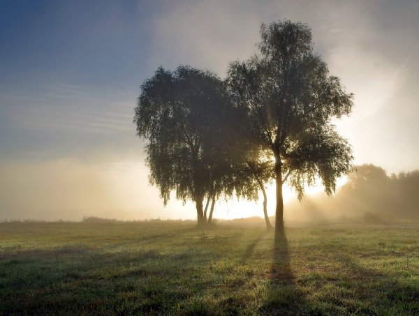 Светотеневое освещение в пейзаже