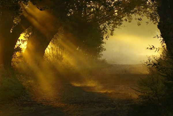 Пейзаж с солнечным освещением