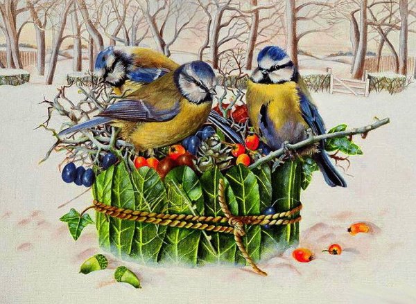 Открытки зимние цветы