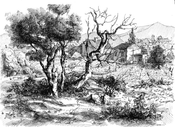 Пейзаж черной ручкой