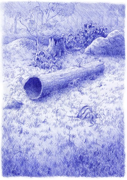 Деревенский пейзаж гелевой ручкой