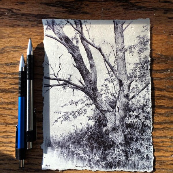 Наброски тушью