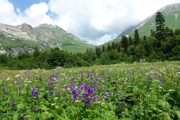 Европейский Юг России природа