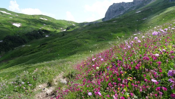 Юг России фото