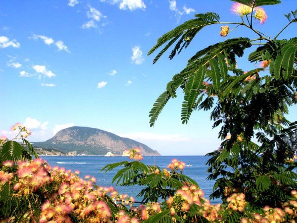 Кавказские горы Северная Осетия