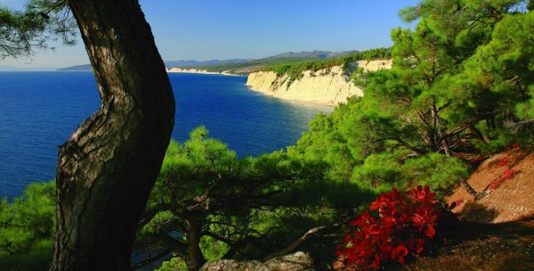 Сукко море горы