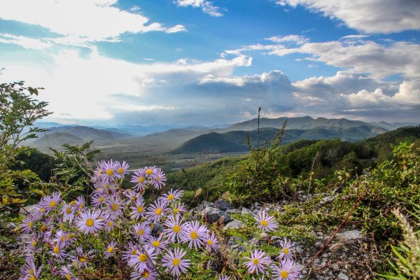 Лаго Наки Альпийские Луга