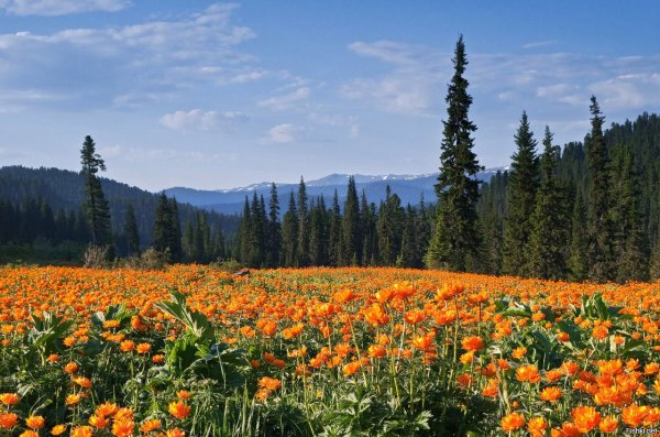 Озеро Байкал (Иркутская область, Иркутск)
