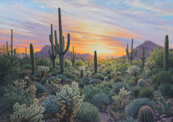 Аризона пейзаж арт