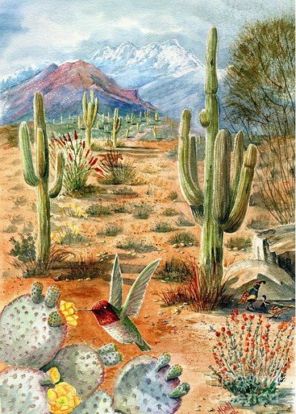 Кактусы пустыня живопись