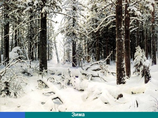 Иван Шишкин зимние пейзажи